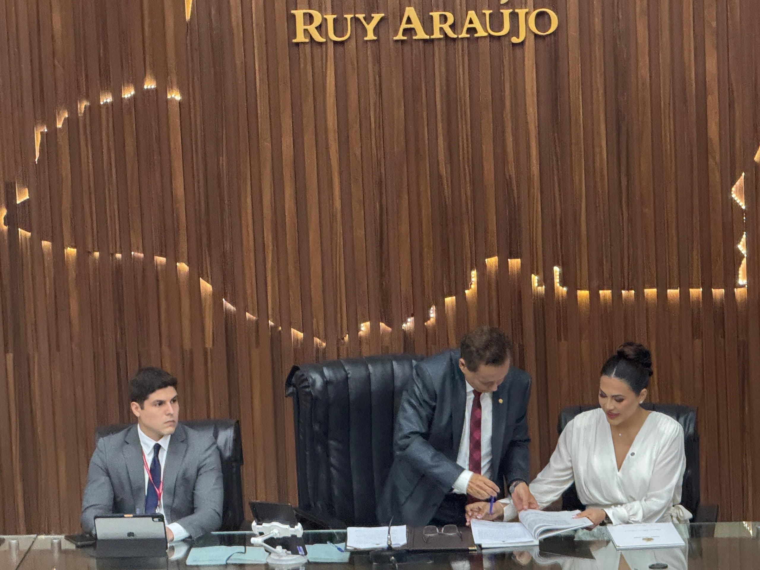 De vereadora a deputada estadual: a ascensão política de Brena Dianná