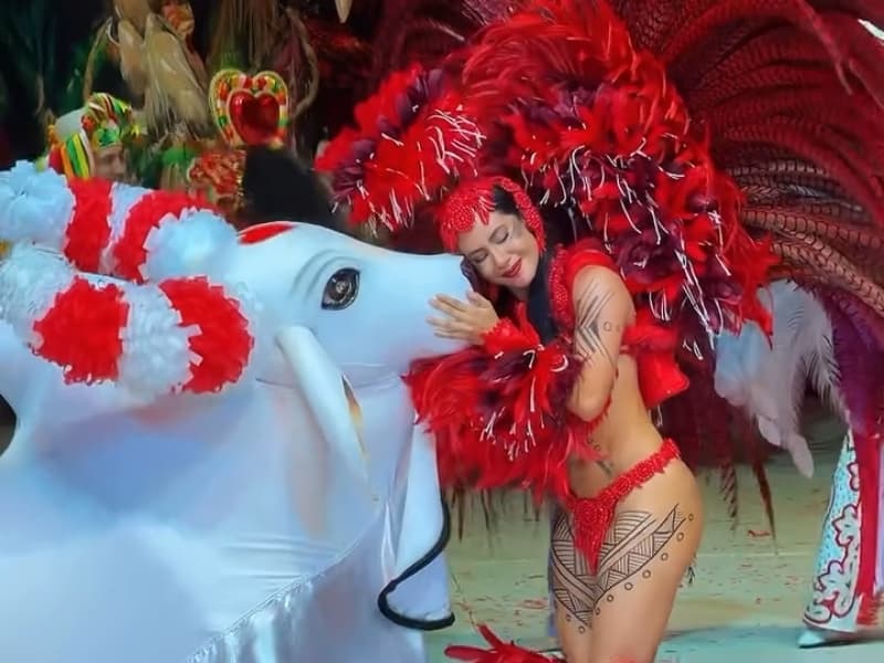 Isabelle Nogueira se despede do Garantido: “Não é um fim, é o começo de uma nova era”