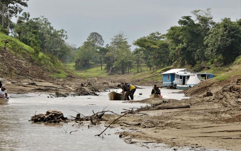 Amazonas se prepara para novo El Niño, mas medidas não atacam origem da crise, diz pesquisador