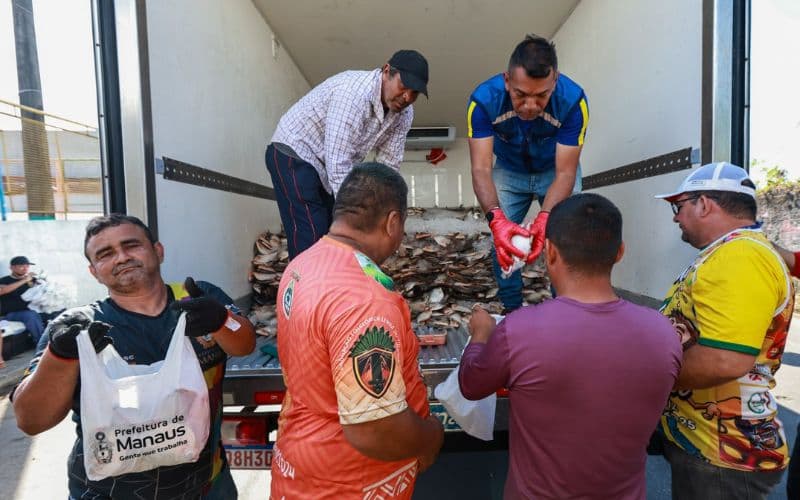 Com avanço do El Niño, prefeitura distribui jaraqui em Manaus