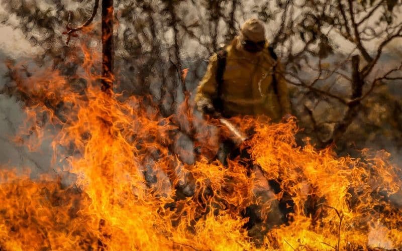 MPAM reúne 61 promotorias do interior para definir ações contra queimadas