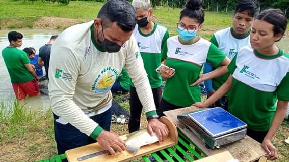 Pesquisadores criam ração a partir de resíduos descartados