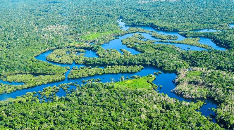 Brasil é o 2º país do mundo que mais mata ambientalistas, diz levantamento