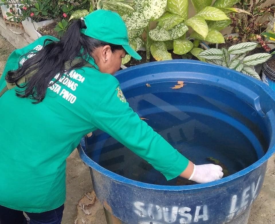 AM tem risco médio de infestação por Aedes aegypti, alerta FVS