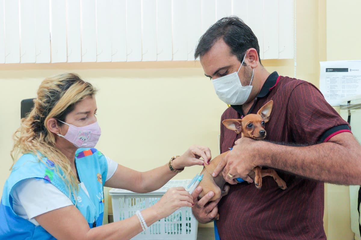 Tem pet em casa? Saiba onde vacinar contra a raiva em Manaus