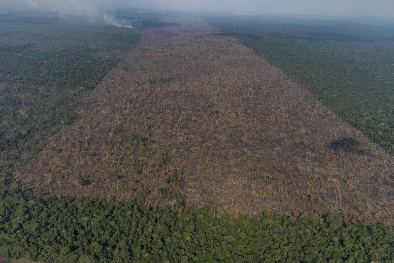 Amazônia registra redução histórica no desmatamento, aponta ICMBio