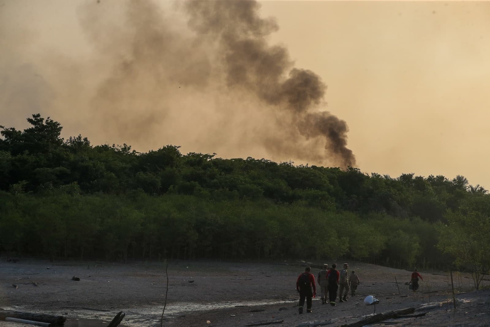 VÍDEO: Incêndio de grandes proporções atinge mata na Região Metropolitana de Manaus