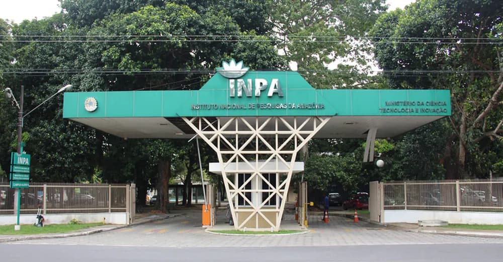 Inpa abre seleção para doutorado em Entomologia