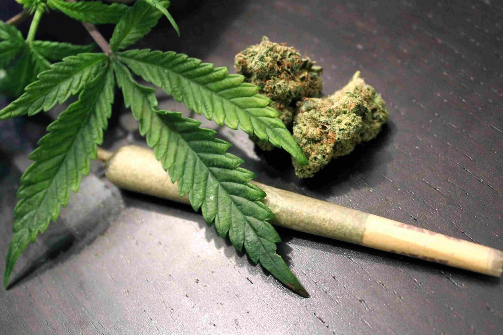 STF decidirá quantos gramas de maconha separam usuário de traficante nesta quarta-feira (26/06)