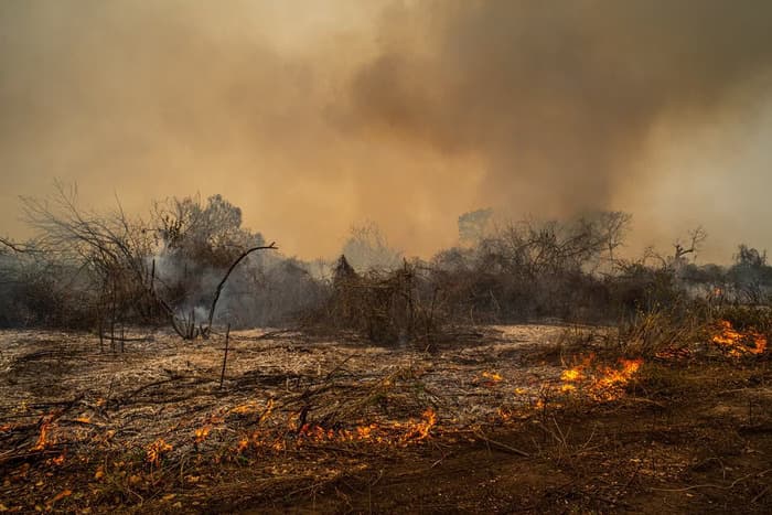 Marina Silva defende marco regulatório de emergência climática e alerta para “desaparecimento” do Pantanal