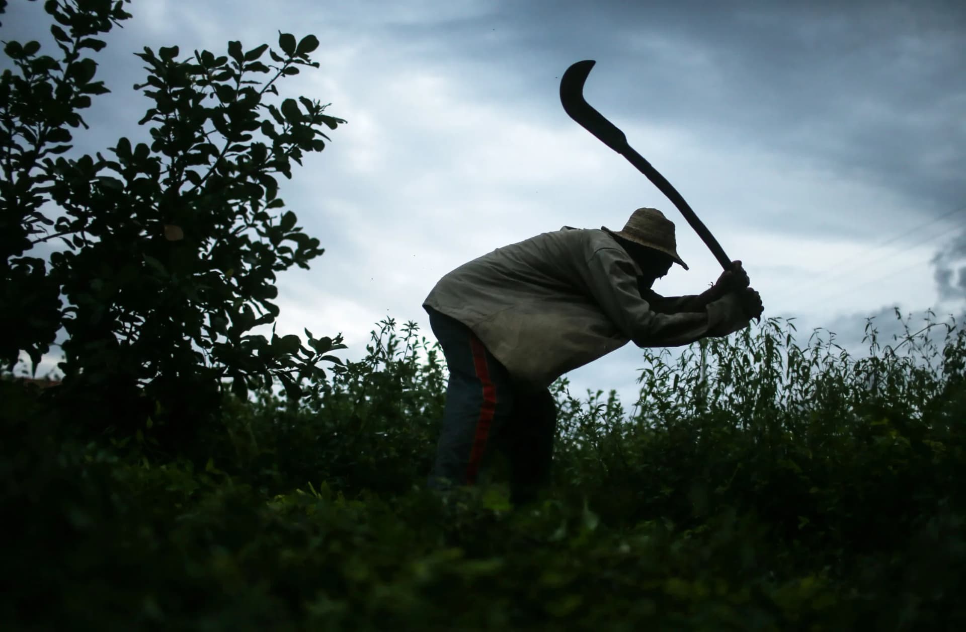 Quatro amazonenses entram na nova atualização da Lista Suja do trabalho análogo à escravidão