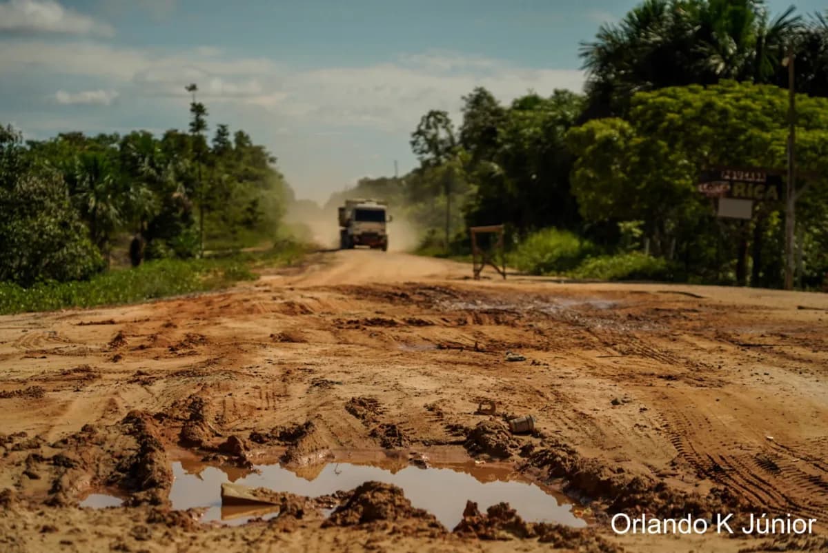 BR-319: Políticos divergem sobre eventual mudança de postura do Ibama sobre obras na Amazônia