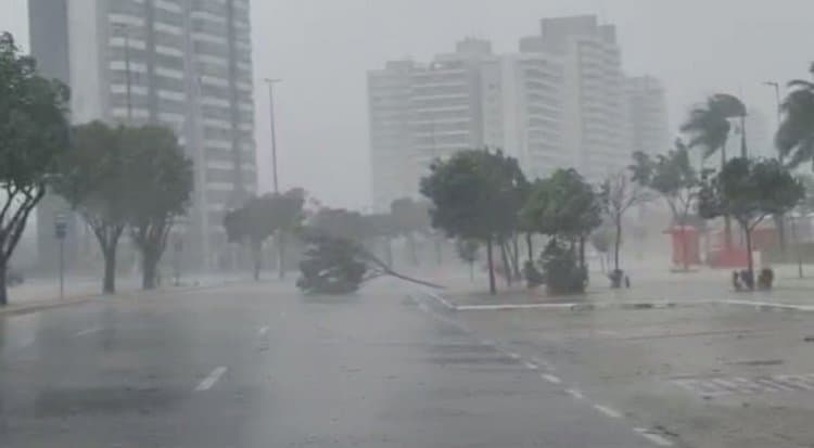 Defesa Civil fará simulação de alerta em celulares em Manaus e outros três municípios