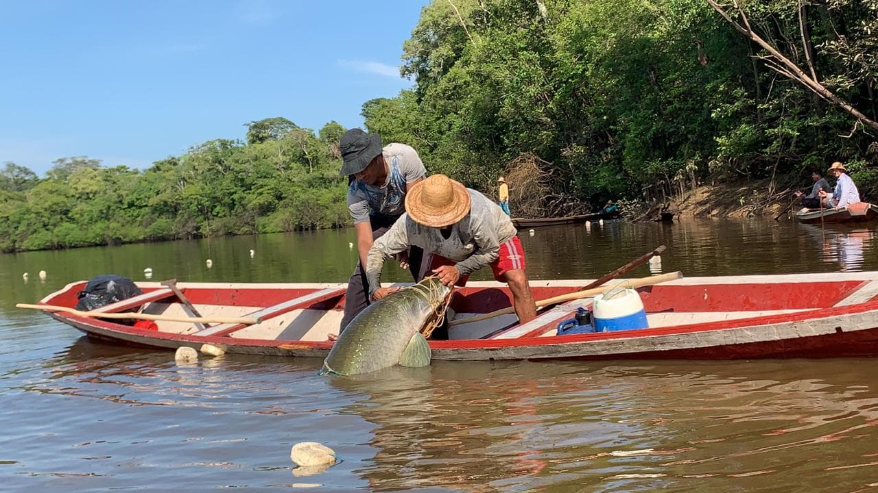 Governo do AM garante direito ao seguro-defeso de 80 mil pescadores, e amplia prazo para emissão da nova CIN