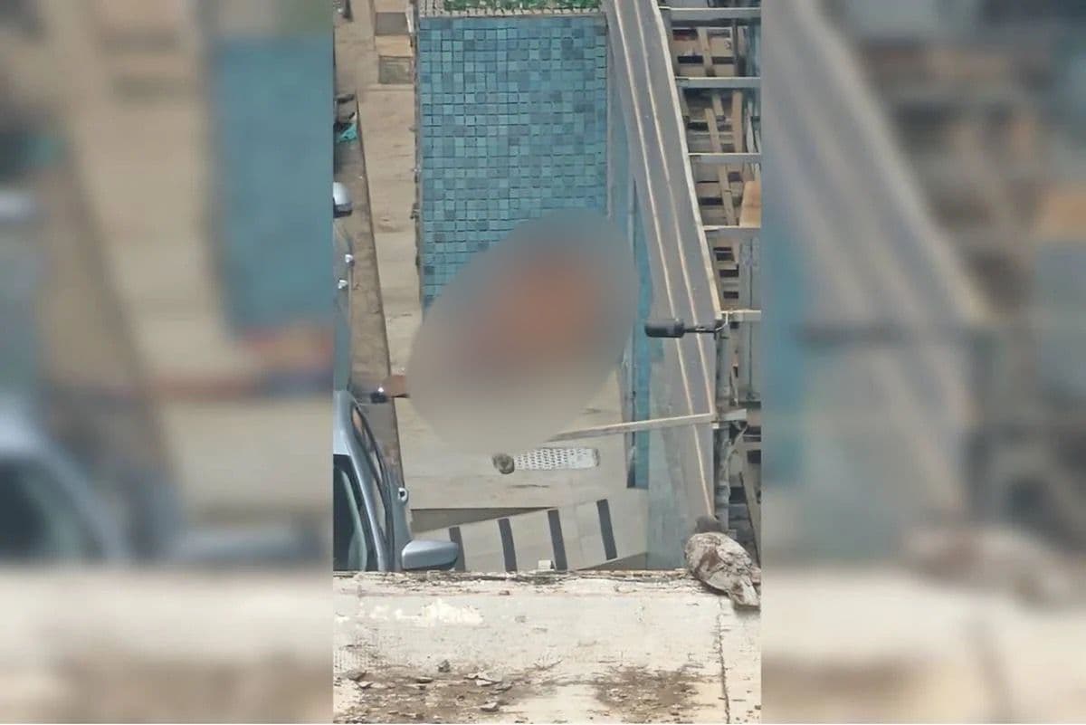 Vídeo +18: Casal é flagrado fazendo sexo no Centro de Brasília