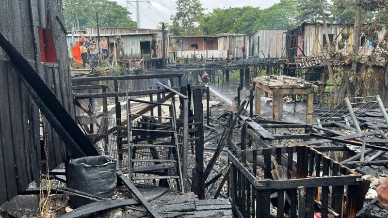 VÍDEO: Animais morreram carbonizados em incêndio que destruiu 10 casas em Manaus
