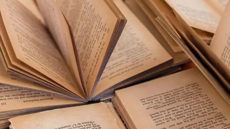 Dia Nacional do Livro: iniciativas incentivam leitura e valorizam autores brasileiros
