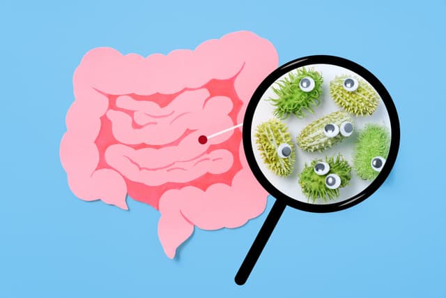 Você sabia que seu intestino abriga trilhões de ‘bichinhos do bem’? Entenda por que eles viraram tendência nas redes