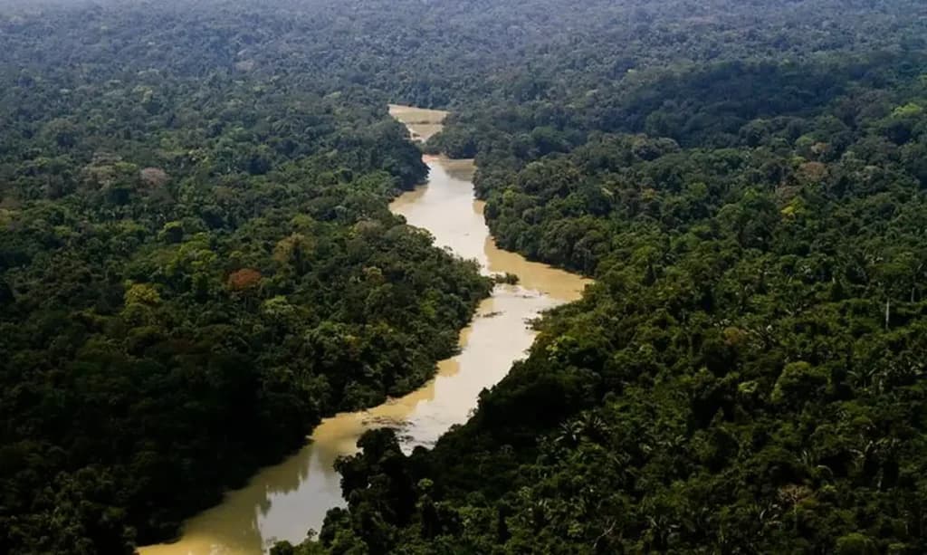 Desmatamento avança e coloca terras indígenas do Amazonas entre as mais ameaçadas do país