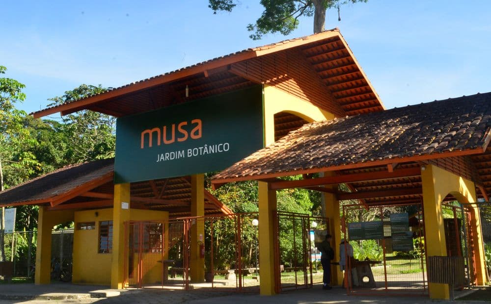 Tintas feitas de terra, biojoias e peixes amazônicos: veja a programação do Musa