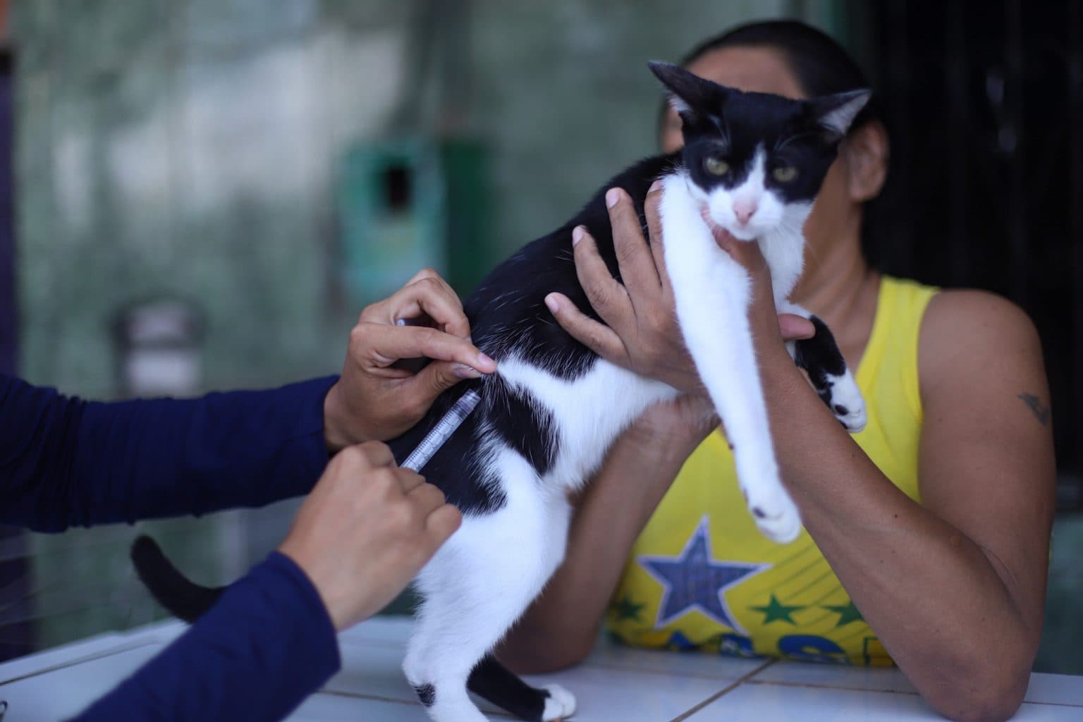 Projeto quer garantir áreas pet e castração facilitada em residenciais populares de Manaus
