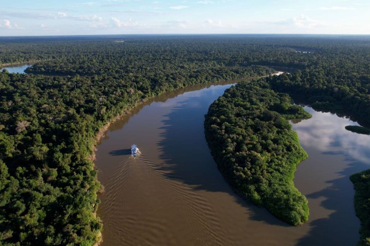 Bolsa Verde reduz desmatamento em até 30% na Amazônia e evita milhões de toneladas de CO₂, aponta estudo
