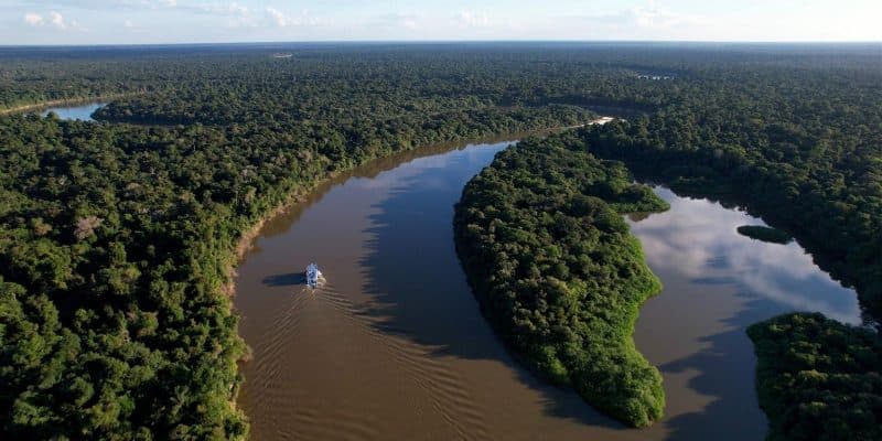 Amazonas vira destaque nacional por redução no desmatamento em 2025