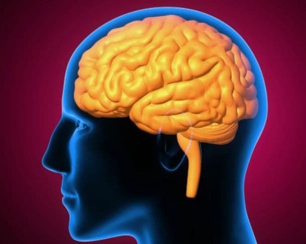 Pesquisa identifica relação entre alterações genéticas e doença de Alzheimer
