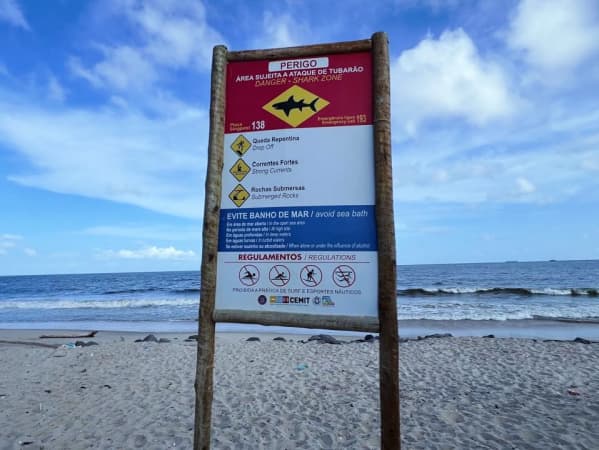 Com dois ataques em 24h, Recife reforça monitoramento e estudo de tubarões