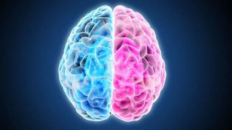 Estudo liga contraceptivos a risco de tumor cerebral