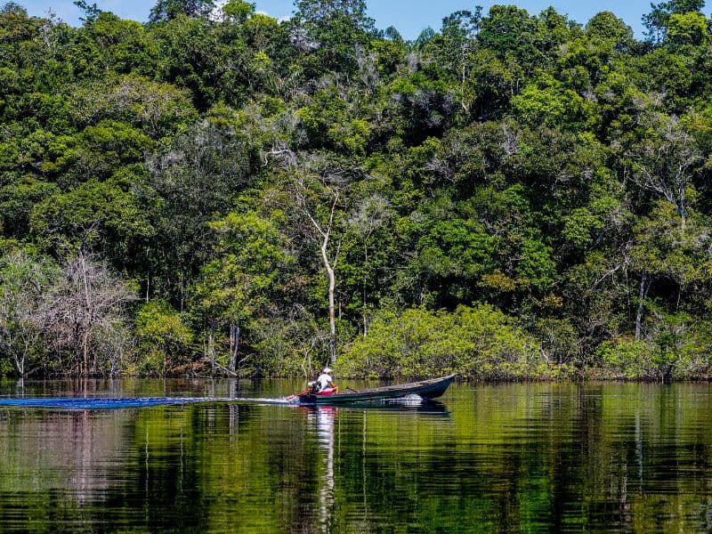 Funai oficializa estudos para terras indígenas Rio Paracuni e Curupira, no Amazonas