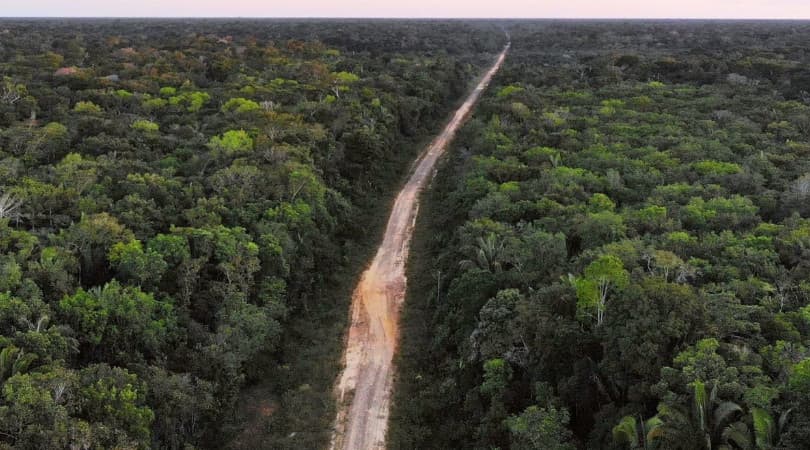 Funai aprova estudos para três Terras Indígenas em áreas da BR-319 no Amazonas