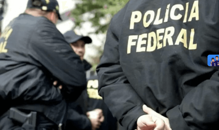 Influenciadores são alvo de investigação em esquema de apostas ilegais e lavagem de dinheiro