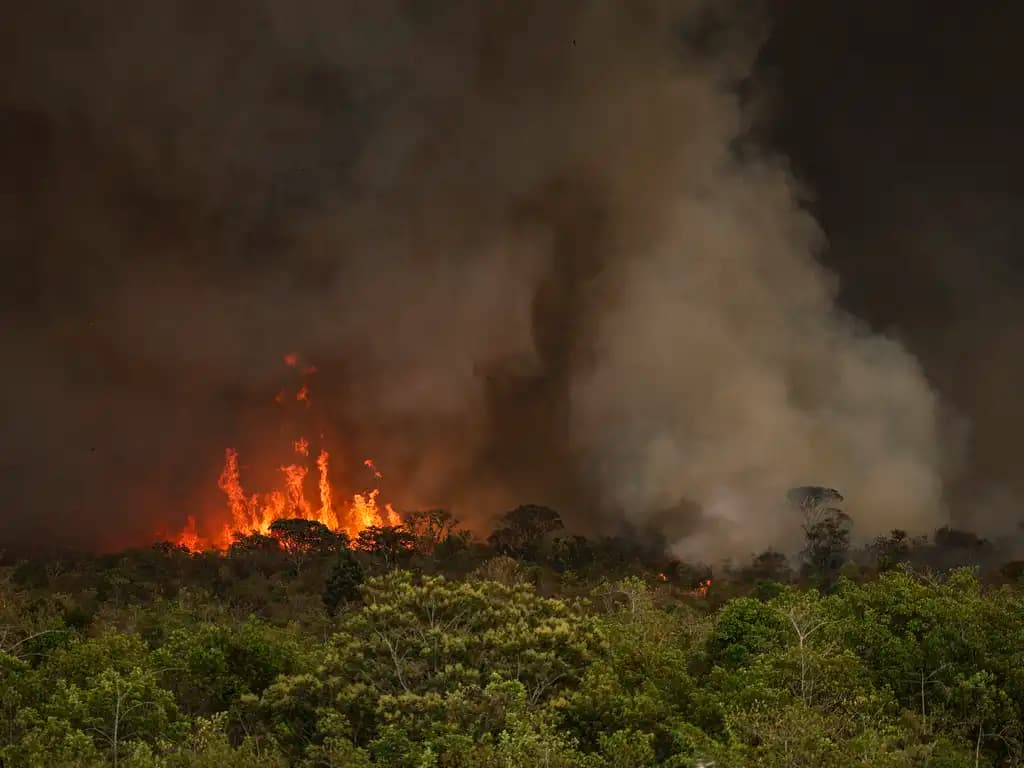 IA desenvolvida pelo Ifam para prever queimadas será lançado em setembro