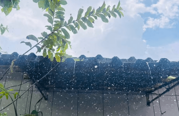 Chuva volta a Manaus após recordes de calor e 16 dias de tempo seco